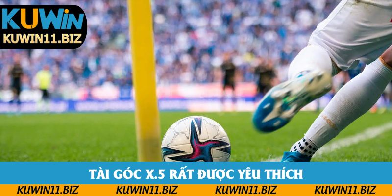 Tài góc X.5 rất được yêu thích